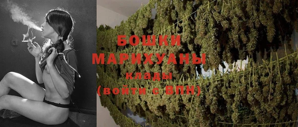 твердый Белокуриха